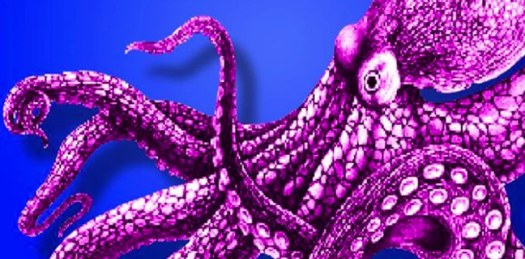 Octopusis